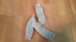 Technik im Aquarium Fade to black (aufgelöst)