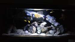 Aquarium Fade to black (aufgelöst)