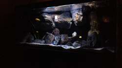 Pflanzen im Aquarium Fade to black (aufgelöst)