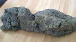 Dekoration im Aquarium Fade to black (aufgelöst)