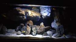 Pflanzen im Aquarium Fade to black (aufgelöst)