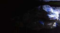 Dekoration im Aquarium Fade to black (aufgelöst)