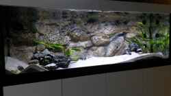 Aquarium mit LED-Beleuchtung