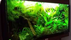 Aquarium Salmlerwelten (umgebaut zur Amerika Räuberwelt))