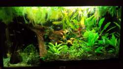 neue Pflänzchem (Mitte)