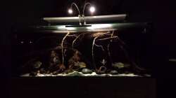 Glasklar am Folgetag