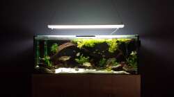 4.15 neue Wandfarbe - painted grey