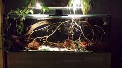 Belichtung verlängert