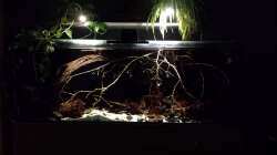 ??ste ??ste ??ste - love it