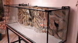 Dekoration im Aquarium Südamerika