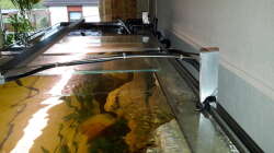 Technik im Aquarium Südamerika