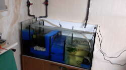 Technik im Aquarium Südamerika