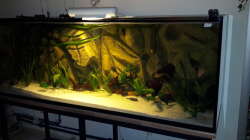 Dekoration im Aquarium Südamerika