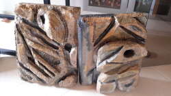 Dekoration im Aquarium Südamerika