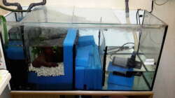 Technik im Aquarium Südamerika