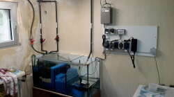 Technik im Aquarium Südamerika