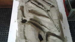 jetzt muss es trocknen