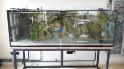 Aquarium Südamerika