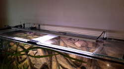 Technik im Aquarium Südamerika