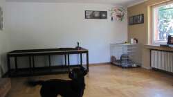 Aquarium Wildes Wohnzimmer ( Nur noch als Beispiel)