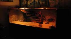 Aquarium Wildes Wohnzimmer ( Nur noch als Beispiel)