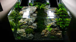 Aquarium Nickys 50 Liter Scaper´s Tank