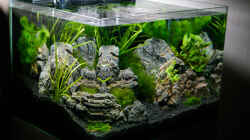 Aquarium Nickys 50 Liter Scaper´s Tank