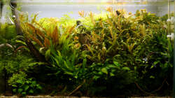 Tag 268 - zugewuchert nach dem Weihnachtsurlaub