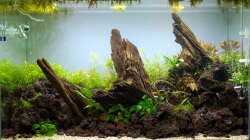 Tag 1 - Frisch eingerichtet