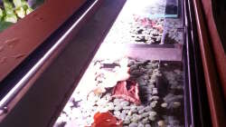 Ansicht von oben Ansicht von oben