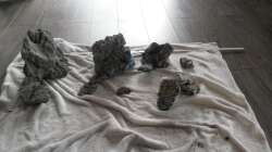 Aquarium wild stones and plants