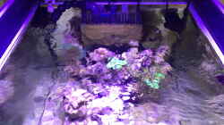 Technik im Aquarium Blaue Ecke