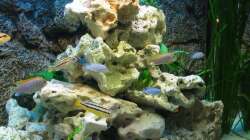 Rechte Seite mit Außenfilter...