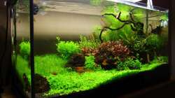 Aquarium Märchenwald (Nur noch Beispiel)