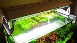 BioPur Aufsetz-/Hängeleuchte