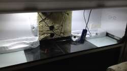 Rückwand im Aufbau!