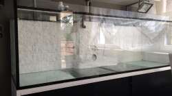 Aquariumrückwand nochmal überarbeitet