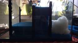 Technik im Aquarium ALTUMIA