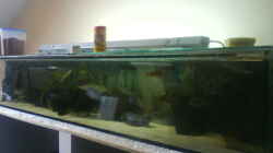 Aquarium Becken 3183
