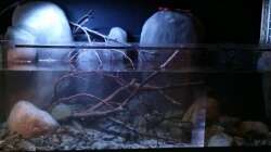 Aquarium Little creek