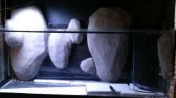 Aquarium Little creek