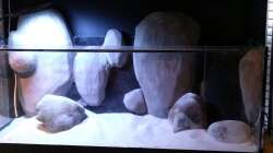 Aquarium Little creek