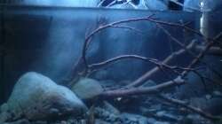 Aquarium Little creek