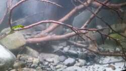 Aquarium Little creek