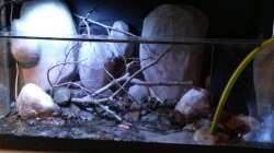 Aquarium Little creek