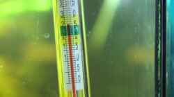 Herkömmliches Thermometer,genauer