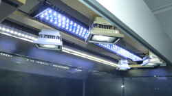 LED-Beleuchtung 4x10W LED-Fluter / 2x100cm LED-Lichtleiste / 1x90cm LED-Aufsetzleuchte