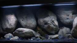 Aquarium Mdima mchenga