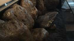 Bald soll Wasser rein...