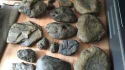 Hurra...die Module sind da!